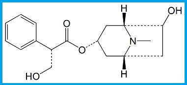 HYOSCYAMINE EP IMPURITY B / 7-HYDROXYHYOSCYAMINE